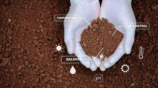 VIEWPOINT: Managing soil for improved yields, By Bitange Ndemo