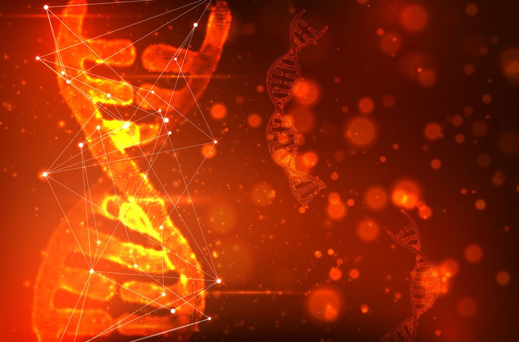 New genetic target for male contraception identified – Study