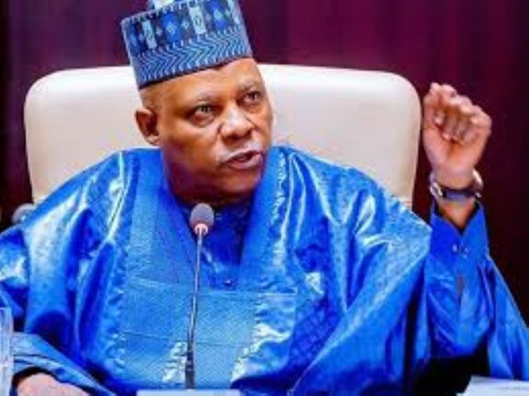 VP Kashim Shettima