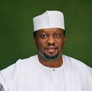 Reps Deputy Minority Leader seeks Niger rapprochement to tackle insecurity